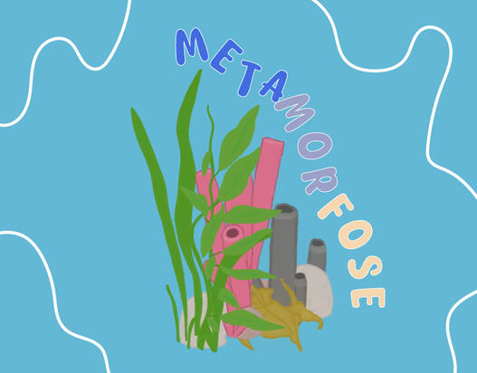 Metamorfose